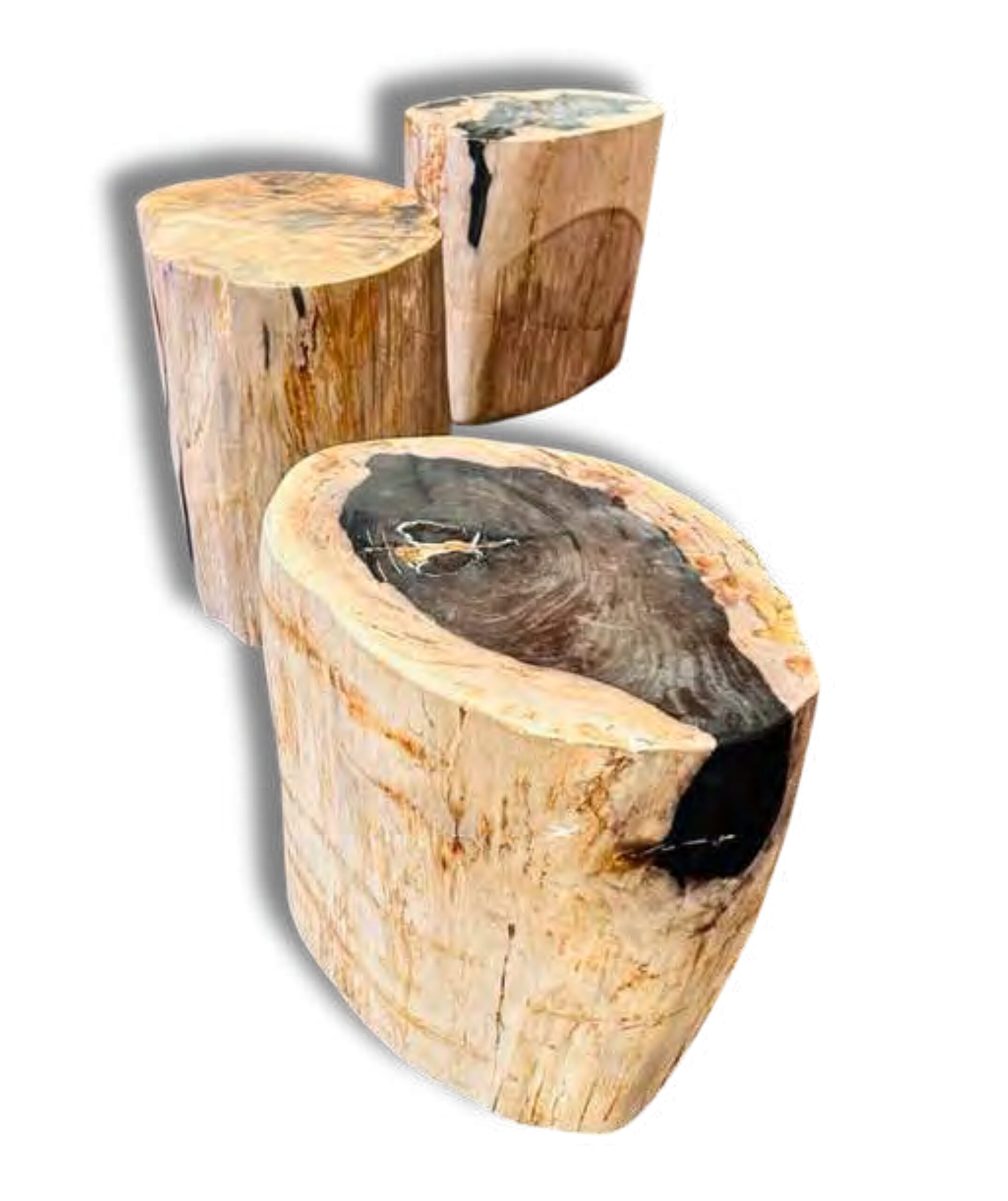 09 Madera Petrificada Indonesia scaled