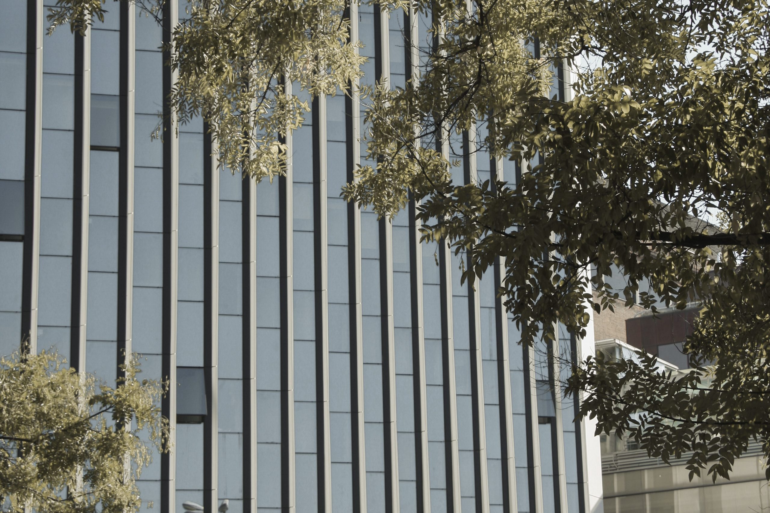 9 Oficinas Paseo de la Castellana, Madrid 002