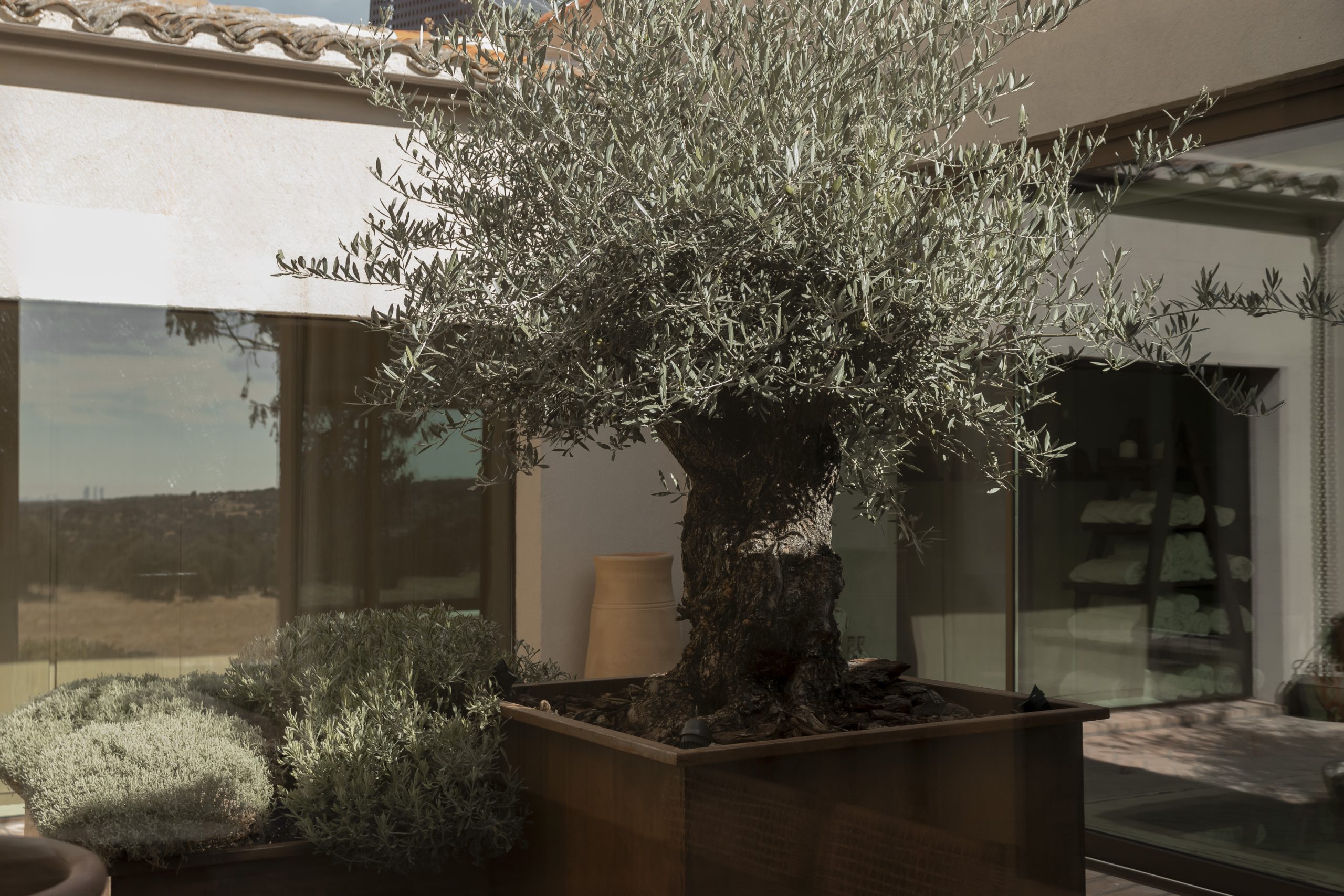 23 Reforma e interiorismo, Casa en el campo, Madrid 002